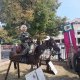 tn_IMG-20220908-WA0068
